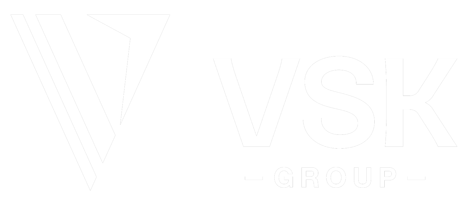 Logo VSK Group